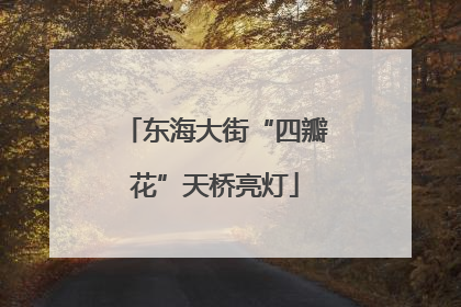 东海大街“四瓣花”天桥亮灯