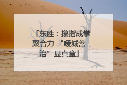 东胜：攥指成拳聚合力 “暖城善治”显真章