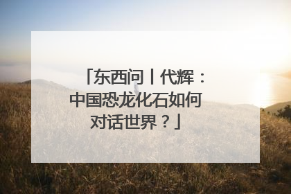 东西问丨代辉：中国恐龙化石如何对话世界？