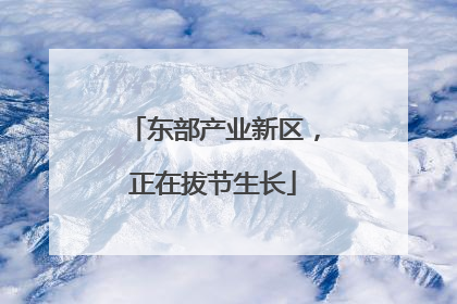东部产业新区，正在拔节生长