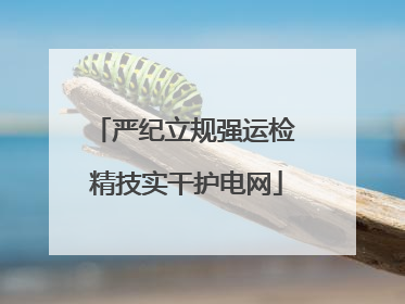 严纪立规强运检 精技实干护电网