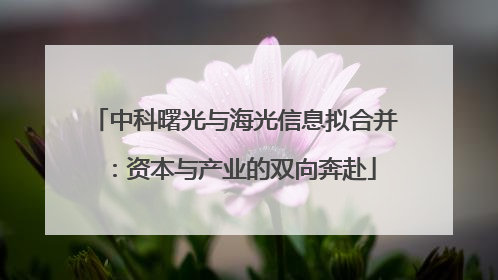 中科曙光与海光信息拟合并：资本与产业的双向奔赴