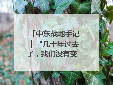 中东战地手记｜“几十年过去了，我们没有变得更安全”