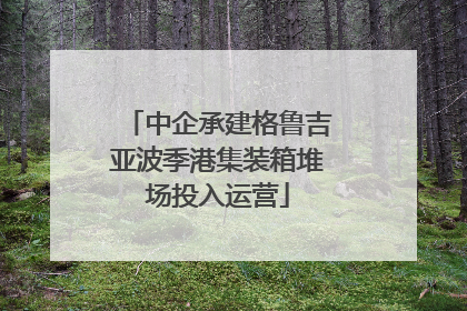 中企承建格鲁吉亚波季港集装箱堆场投入运营
