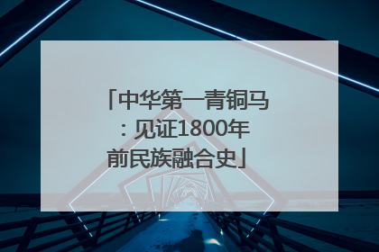 中华第一青铜马：见证1800年前民族融合史