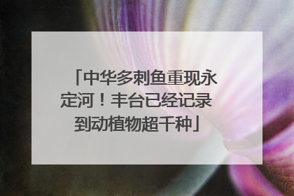 中华多刺鱼重现永定河！丰台已经记录到动植物超千种