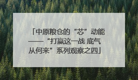 中原粮仓的“芯”动能——“打赢这一战 底气从何来”系列观察之四