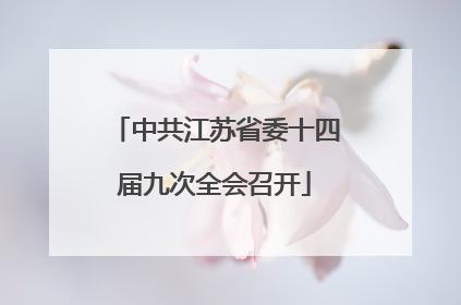 中共江苏省委十四届九次全会召开
