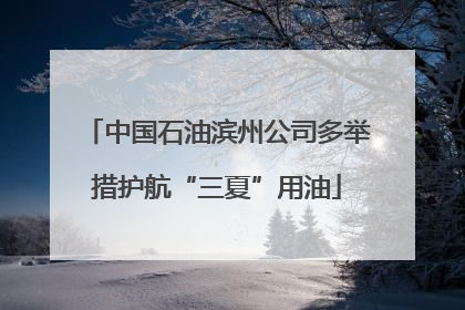 中国石油滨州公司多举措护航“三夏”用油