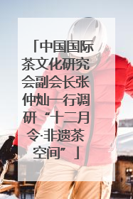 中国国际茶文化研究会副会长张仲灿一行调研“十二月令·非遗茶空间”