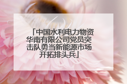 中国水利电力物资华南有限公司党员突击队勇当新能源市场开拓排头兵