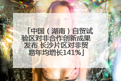 中国（湖南）自贸试验区对非合作创新成果发布 长沙片区对非贸易年均增长141%
