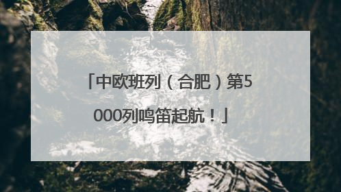 中欧班列（合肥）第5000列鸣笛起航！