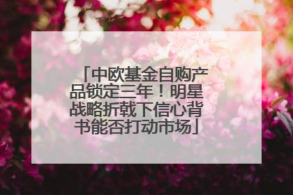 中欧基金自购产品锁定三年！明星战略折戟下信心背书能否打动市场