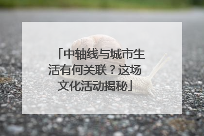 中轴线与城市生活有何关联？这场文化活动揭秘
