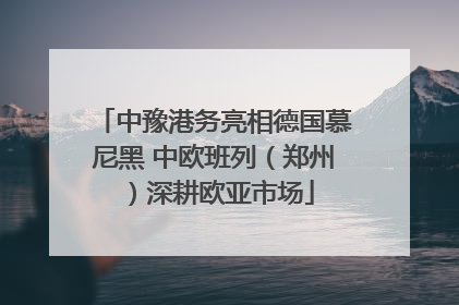 中豫港务亮相德国慕尼黑 中欧班列（郑州）深耕欧亚市场