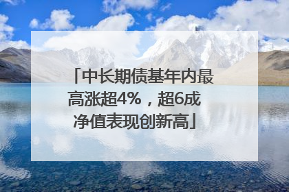中长期债基年内最高涨超4%，超6成净值表现创新高