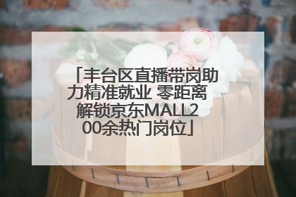 丰台区直播带岗助力精准就业 零距离解锁京东MALL200余热门岗位