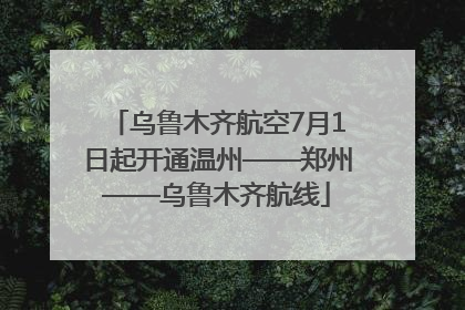 乌鲁木齐航空7月1日起开通温州——郑州——乌鲁木齐航线