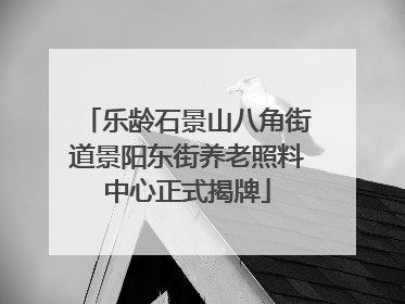 乐龄石景山八角街道景阳东街养老照料中心正式揭牌