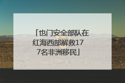 也门安全部队在红海西部解救177名非洲移民