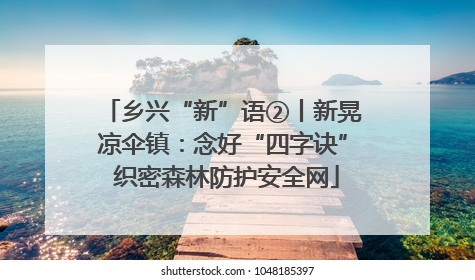 乡兴“新”语②丨新晃凉伞镇：念好“四字诀” 织密森林防护安全网