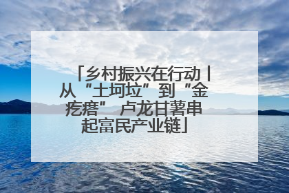 乡村振兴在行动丨从“土坷垃”到“金疙瘩” 卢龙甘薯串起富民产业链