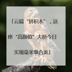 云端“拼积木”，这座“高颜值”大桥今日实现毫米级合龙