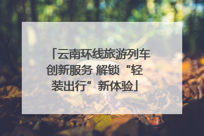 云南环线旅游列车创新服务 解锁“轻装出行”新体验