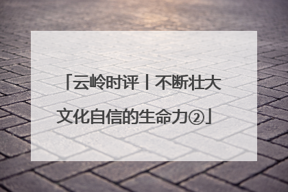 云岭时评丨不断壮大文化自信的生命力②