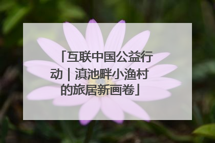 互联中国公益行动｜滇池畔小渔村的旅居新画卷