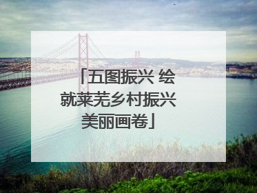 五图振兴 绘就莱芜乡村振兴美丽画卷