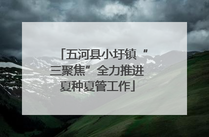 五河县小圩镇“三聚焦”全力推进夏种夏管工作