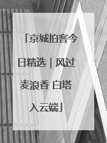 京城拍客今日精选｜风过麦浪香 白塔入云端