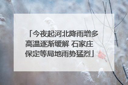 今夜起河北降雨增多高温逐渐缓解 石家庄保定等局地雨势猛烈