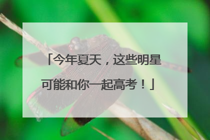 今年夏天，这些明星可能和你一起高考！