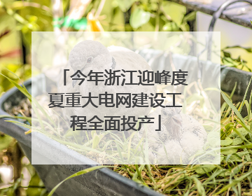 今年浙江迎峰度夏重大电网建设工程全面投产