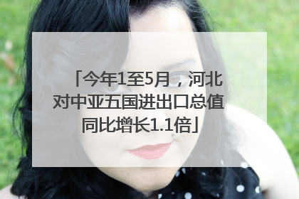 今年1至5月，河北对中亚五国进出口总值同比增长1.1倍