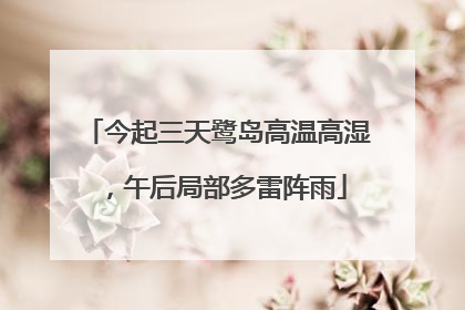 今起三天鹭岛高温高湿，午后局部多雷阵雨