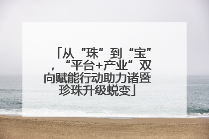从“珠”到“宝”，“平台+产业”双向赋能行动助力诸暨珍珠升级蜕变