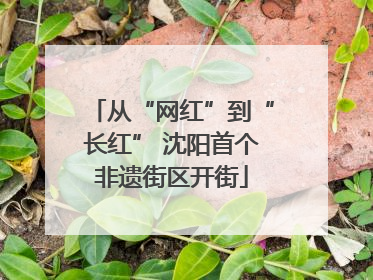 从“网红”到“长红” 沈阳首个非遗街区开街