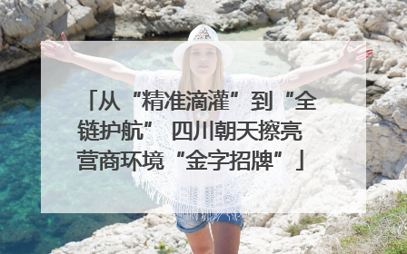 从“精准滴灌”到“全链护航” 四川朝天擦亮营商环境“金字招牌”