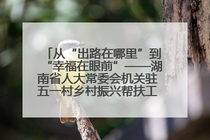 从“出路在哪里”到“幸福在眼前”——湖南省人大常委会机关驻五一村乡村振兴帮扶工作队书写振兴答卷