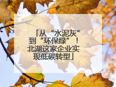 从“水泥灰”到“环保绿”！北湖这家企业实现低碳转型