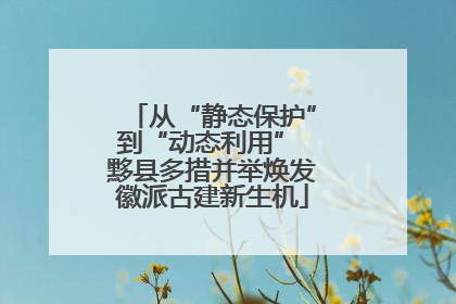 从“静态保护”到“动态利用” 黟县多措并举焕发徽派古建新生机