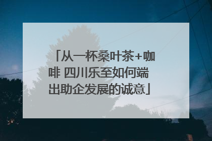 从一杯桑叶茶+咖啡 四川乐至如何端出助企发展的诚意