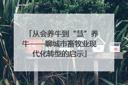 从会养牛到“慧”养牛——聊城市畜牧业现代化转型的启示