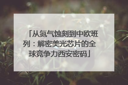 从氮气蚀刻到中欧班列：解密美光芯片的全球竞争力西安密码