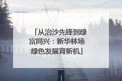 从治沙先锋到绿富同兴：新华林场绿色发展育新机