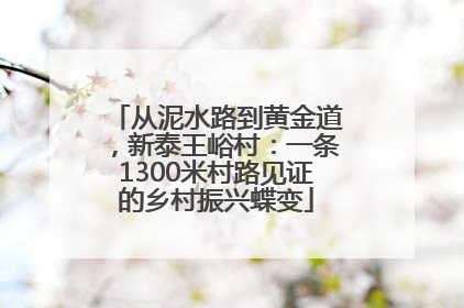 从泥水路到黄金道，新泰王峪村：一条1300米村路见证的乡村振兴蝶变